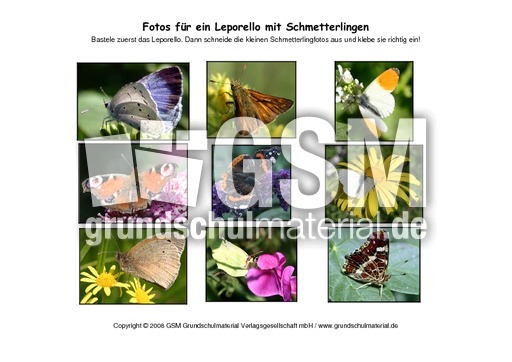 Leporello-Schmetterlinge-Fotos.pdf